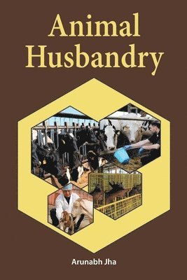 bokomslag Animal husbandry