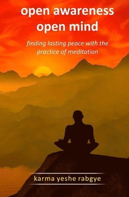 bokomslag Open Awareness Open Mind: Finding lasting peace with the practice of meditation