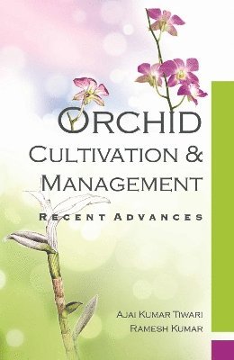 Ajai Kumar Tiwari - Orchid, Inbunden