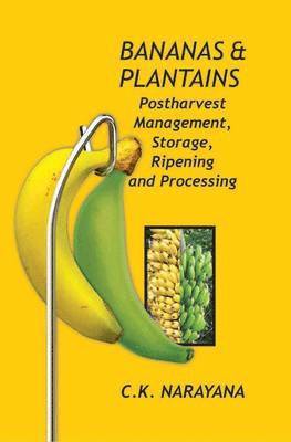Bananas and Plantains 1