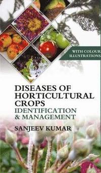 bokomslag Diseases of Horticultural Crops Identification and Management: With Colour Illustrations