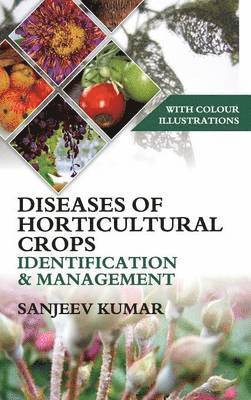 bokomslag Diseases of Horticultural Crops