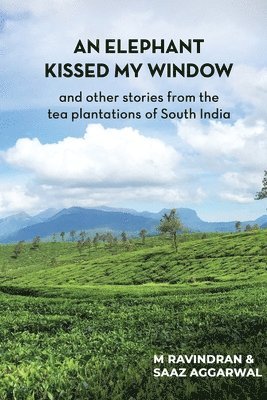 bokomslag An elephant kissed my window: and other stories from the tea plantations of South India