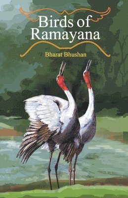 bokomslag Birds of Ramayana