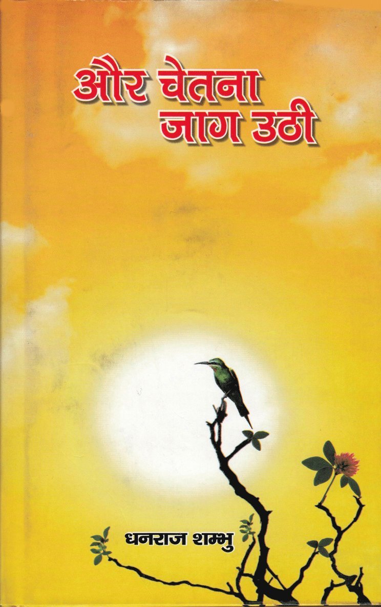 Dhanraj Shambhu - Och medvetandet vaknade (Hindi), Häftad