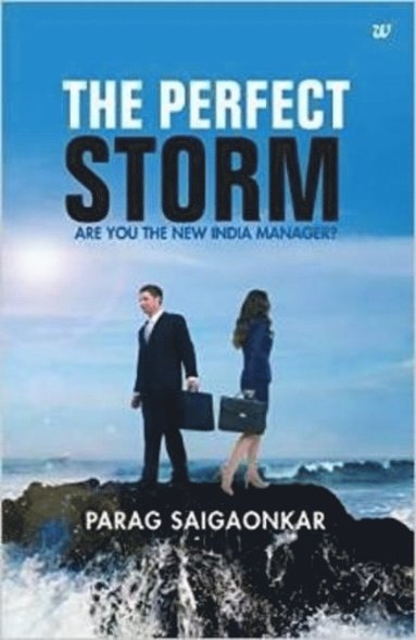 bokomslag Perfect Storm