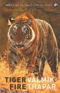 bokomslag Tiger Fire