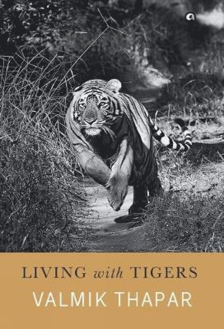 Valmik Thapar - Living with Tigers, Inbunden