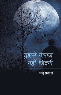 bokomslag Tujhse Naraz Nahin Zindagi