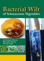 bokomslag Bacterial Wilt of Solanaceous Vegetables