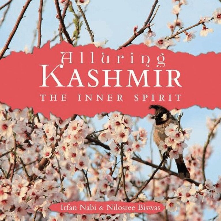 Nilosree Biswas, Irfan Nabi - Alluring Kashmir, Inbunden