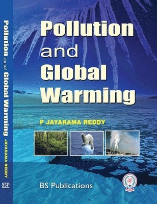 bokomslag Pollution and Global Warming