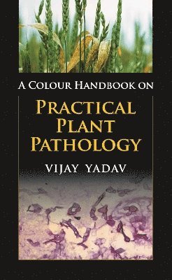 A Colour Handbook on Practical Plant Pathology 1