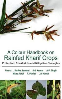 bokomslag A Colour Handbook on Rainfed Kharif Crops: Protection, Constraints and Mitigation Strategies