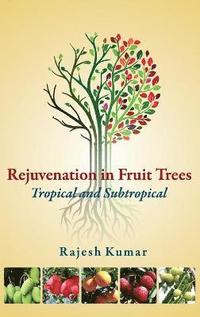 bokomslag Rejuvenation in Fruit Trees