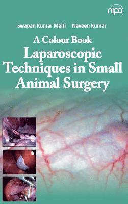 A Colour Book: Laparoscopic Techniques in Small Animal Surgery 1