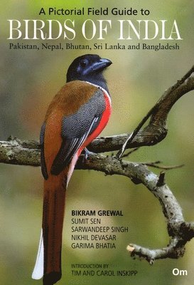 bokomslag A Pictorial Field Guide to the Birds of India