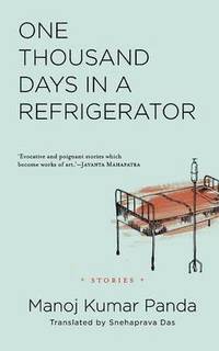 bokomslag One Thousand Days in a Refrigerator