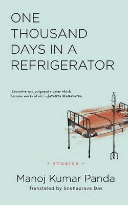 bokomslag One Thousand Days in a Refrigerator