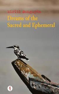 bokomslag Dreams of the Sacred and Ephemeral