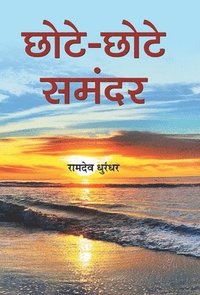 bokomslag Chhote-Chhote Samandar
