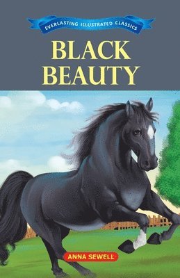 Black Beauty 1