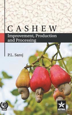 Cashew 1