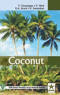 Coconut 1