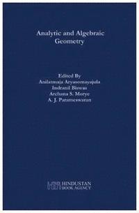 bokomslag Analytic and Algebraic Geometry