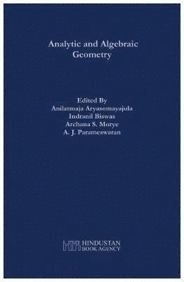 bokomslag Analytic and Algebraic Geometry