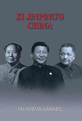 bokomslag Xi Jinping's China