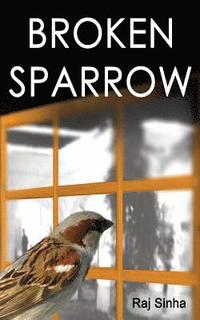 bokomslag Broken Sparrow