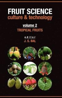 bokomslag Tropical Fruits: Vol.02: Fruit Science Culture & Technology