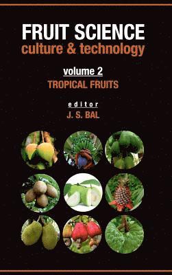 bokomslag Tropical Fruits: Vol.02: Fruit Science Culture & Technology