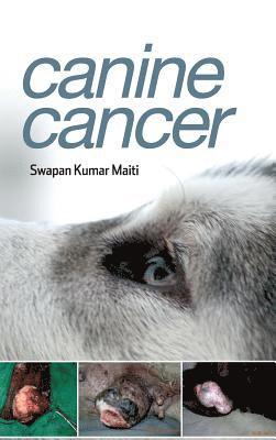 bokomslag Canine Cancer