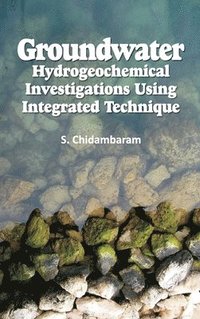 bokomslag Groundwater: Hydrogeochemical Investigations Using Integrated Techniques