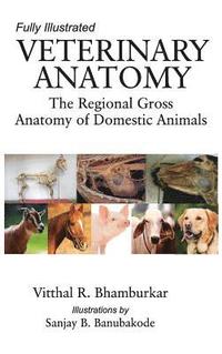 bokomslag Veterinary Anatomy: The Regional Gross Anatomy of Domestic Animals (Completes in 2 Parts)