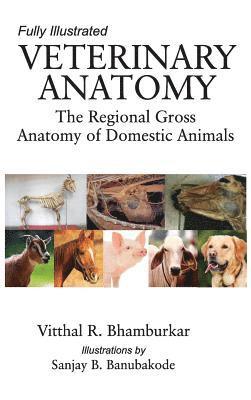 Veterinary Anatomy: The Regional Gross Anatomy of Domestic Animals (Completes in 2 Parts) 1