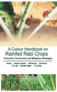 bokomslag A Colour Handbook on Rainfed Rabi Crops: Protection,Constraints and Mitigation Strategies
