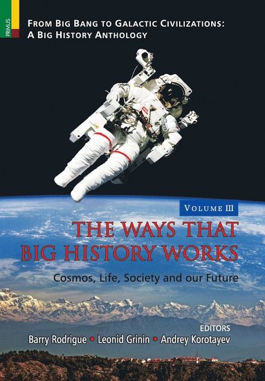 Barry Rodrigue, Leonid Grini, Andrey Korotayev - Ways that Big History Works, Inbunden