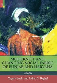 bokomslag Modernity and Changing Social Fabric of Punjab and Haryana
