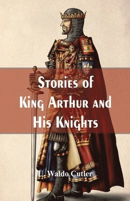 bokomslag Stories of King Arthur and His Knights