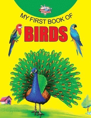 bokomslag My First Book of Birds