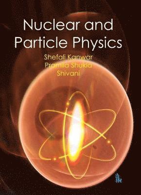 bokomslag Nuclear and Particle Physics