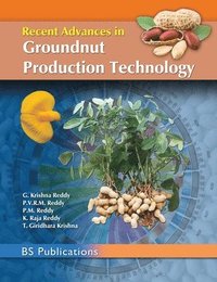 bokomslag Recent Advances in Groundnut Production Technology