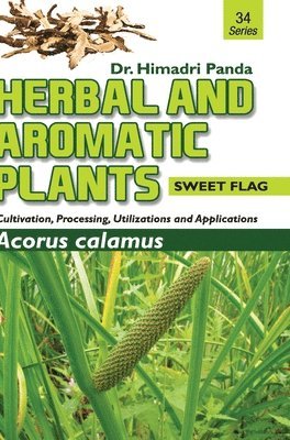 Herbal and Aromatic Plants34. Acorus Calamus (Sweet Flag)