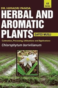 bokomslag Herbal and Aromatic Plants44. Chlorophytum Borivilianum (Safed Musli)