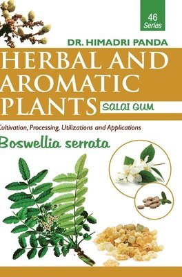 Herbal and Aromatic Plants46. Boswellia Serrata (Salai Gum) 1