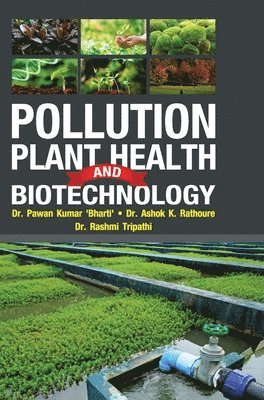 bokomslag Pollution, Plant Health and Biotechnology