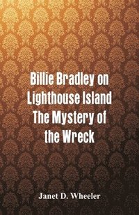 bokomslag Billie Bradley on Lighthouse Island